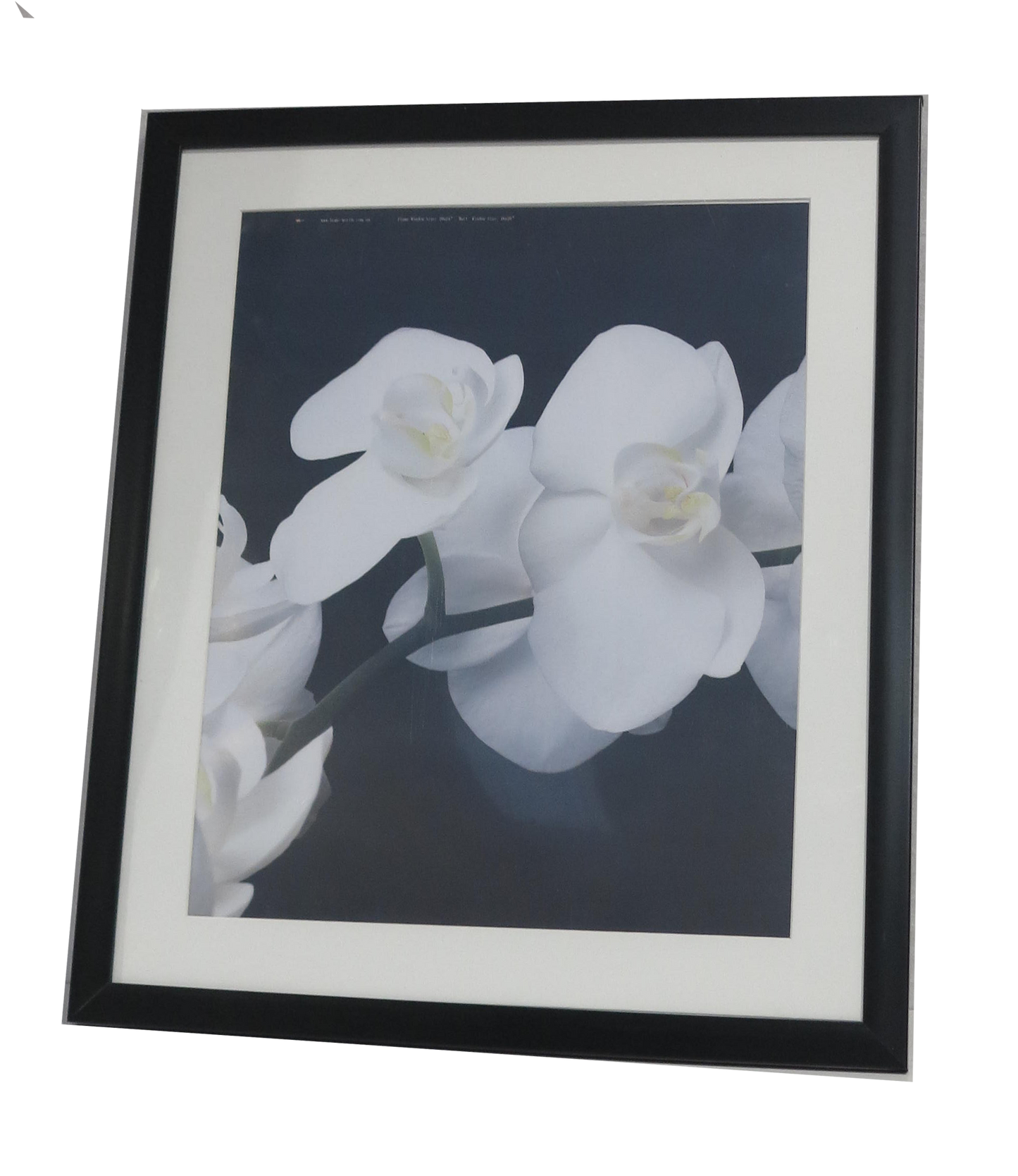 Homeworth Photo Frames Certificate Frames Black Color - Babyworth