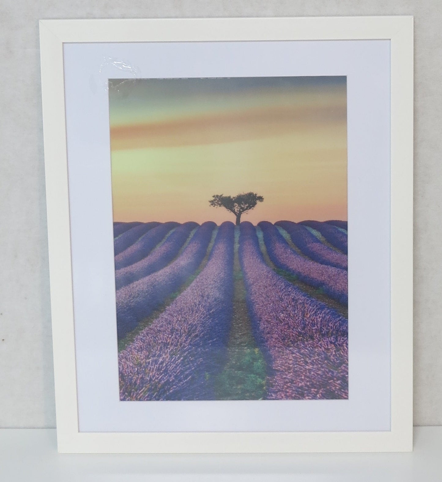 Homeworth Photo Frames Certificate Frames A4 A3 A2 4X6 5X7 8X10 11X14 12X16 16X20 20X24 White Color - Babyworth