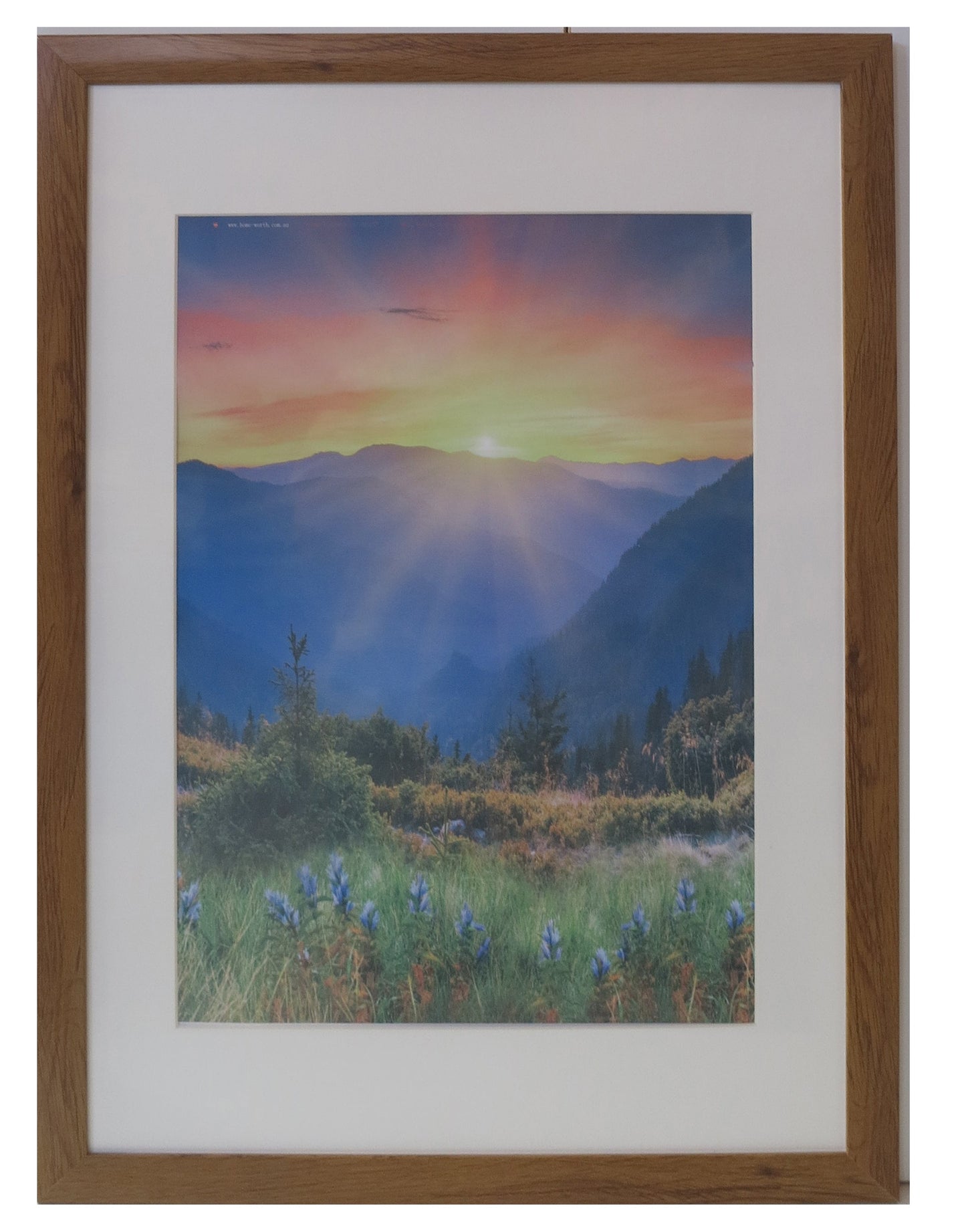 Homeworth Photo Frames (without Mat Border), White / Black / Timber - Babyworth