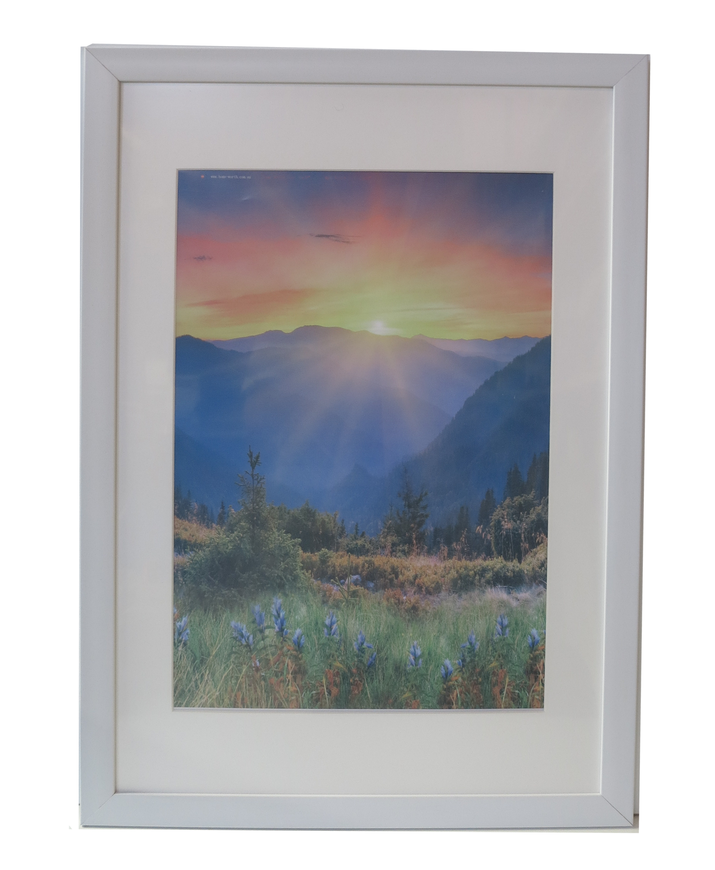Homeworth Photo Frames (without Mat Border), White / Black / Timber - Babyworth