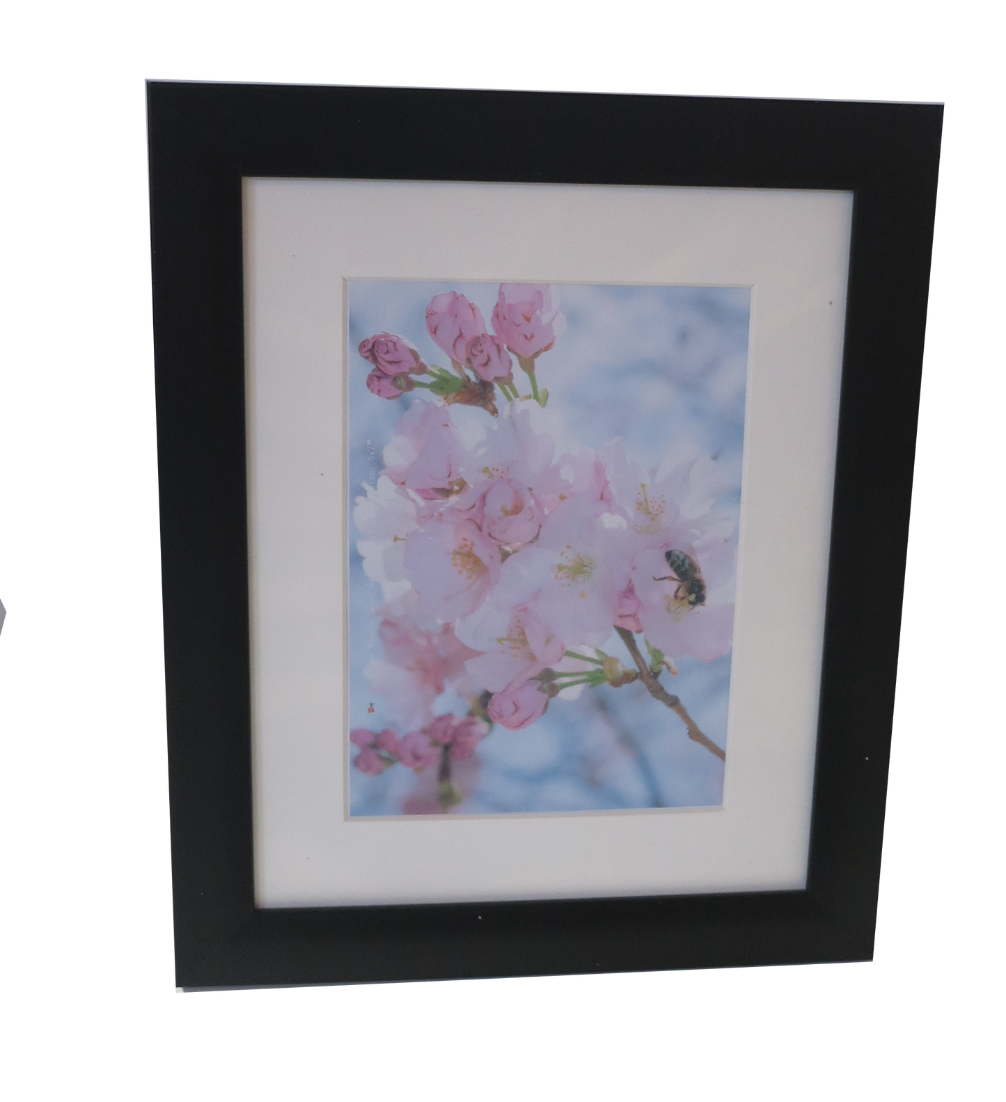 Homeworth Photo Frames (without Mat Border), White / Black / Timber - Babyworth