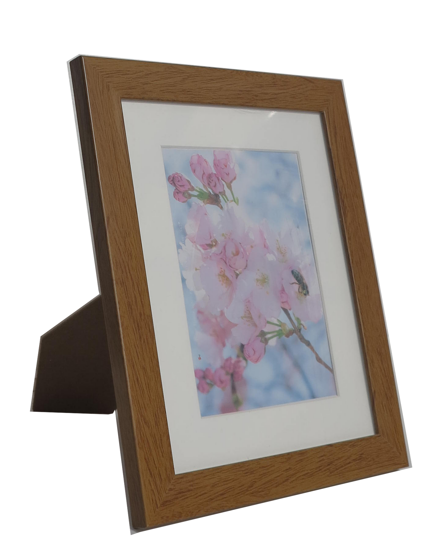Homeworth Photo Frames (without Mat Border), White / Black / Timber - Babyworth