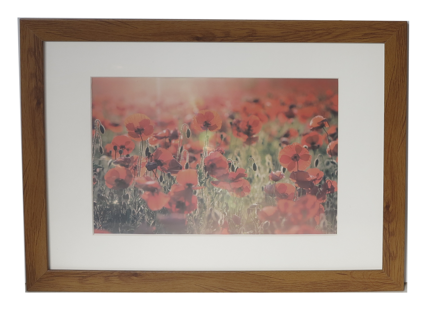 Homeworth Photo Frames (without Mat Border), White / Black / Timber - Babyworth