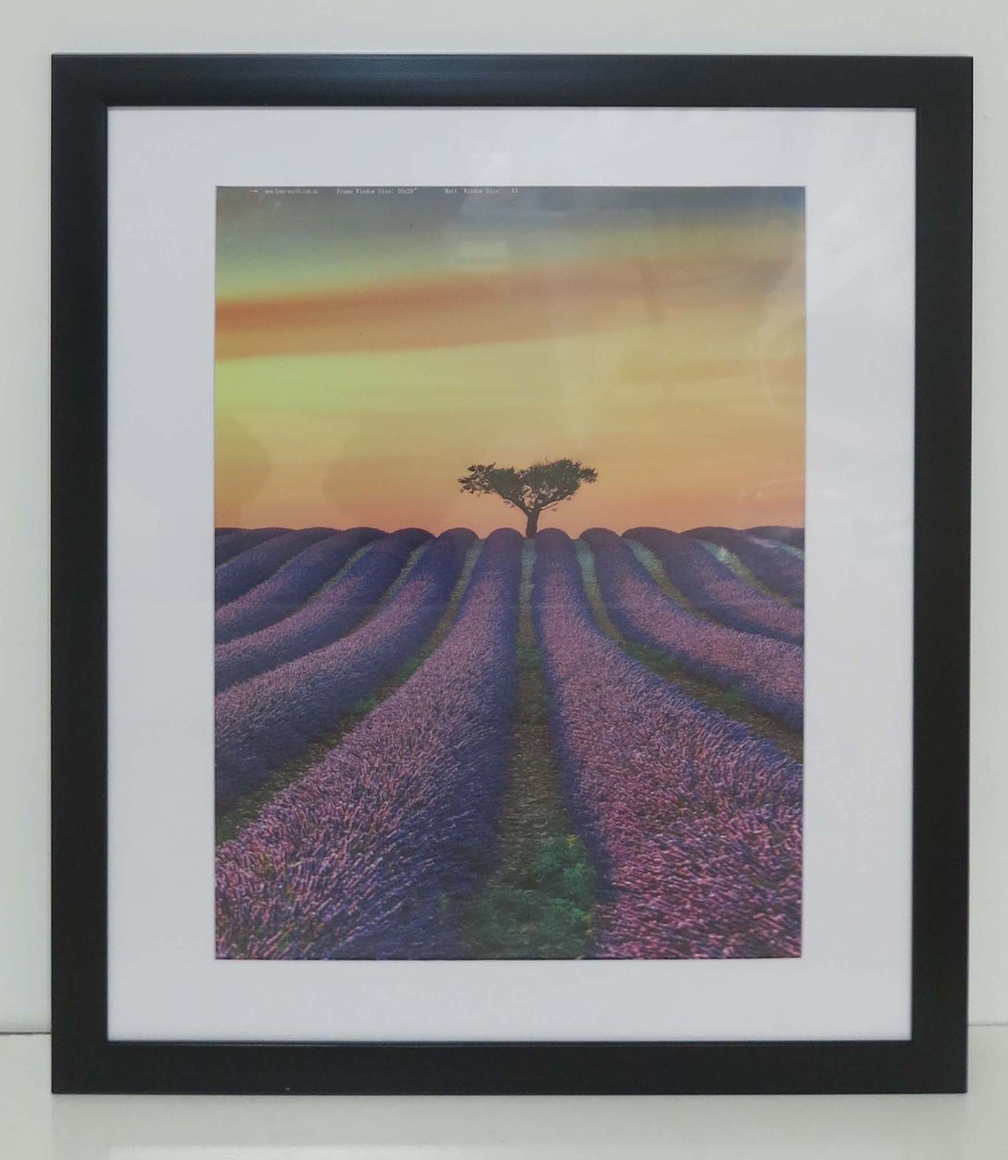 Homeworth Photo Frames - Certificate Series without Mat Border - White, Black or Timber - A4 A3 A2 4X6 5X7 8X10 11X14 12X16 16X20 20X24 24X36 - Babyworth