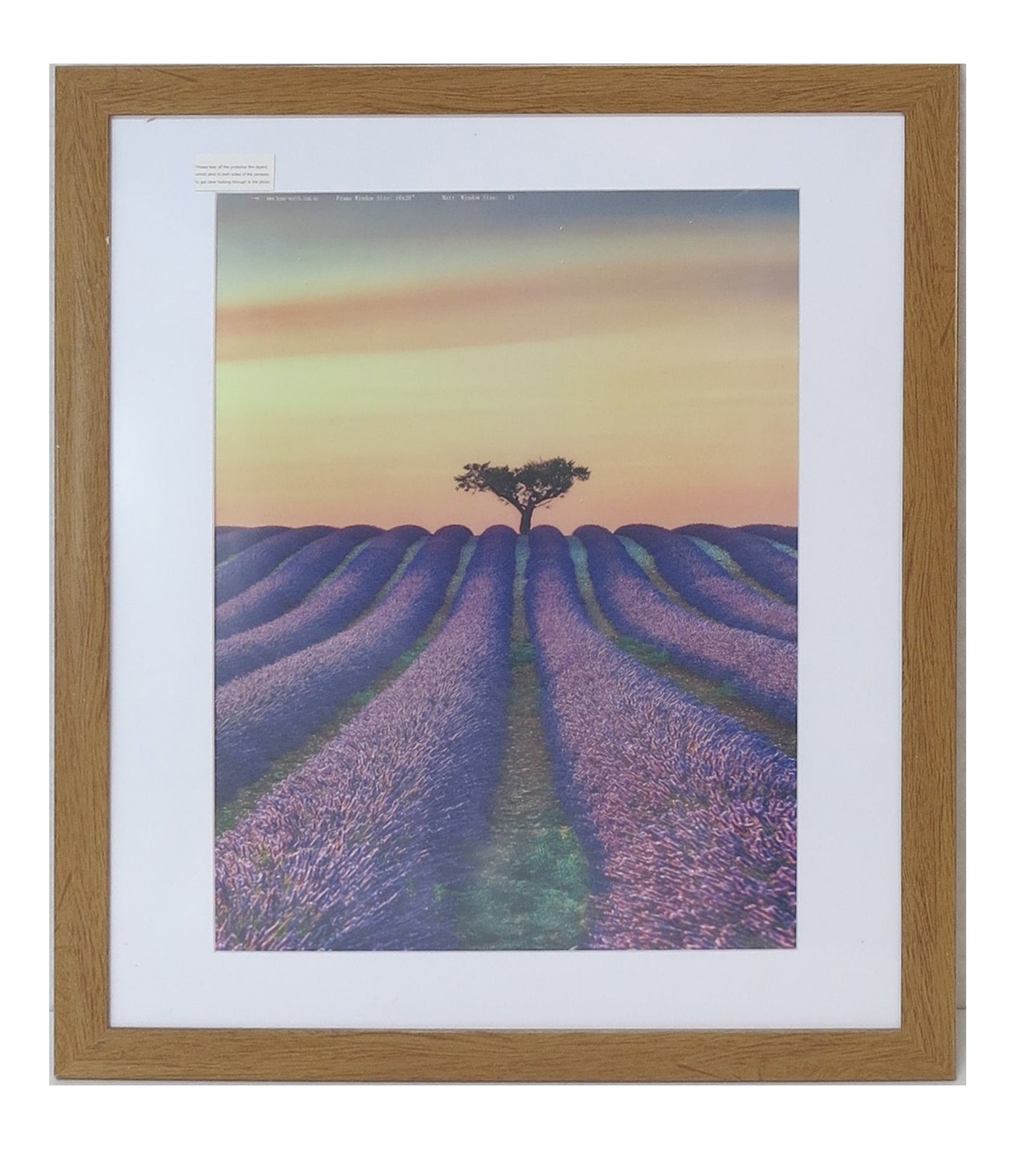 Homeworth Photo Frames (without Mat Border), White / Black / Timber - Babyworth
