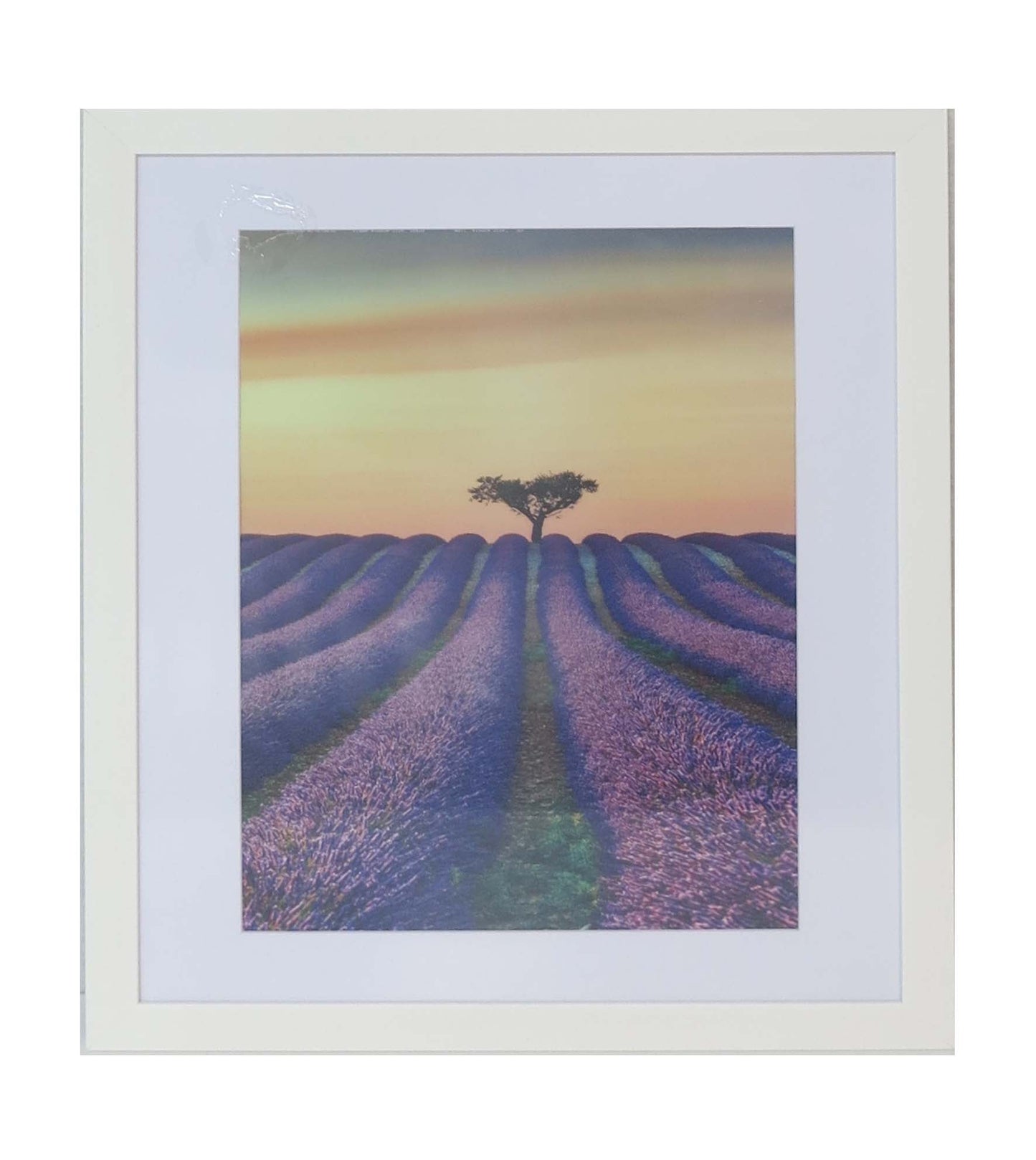 Homeworth Photo Frames (without Mat Border), White / Black / Timber - Babyworth