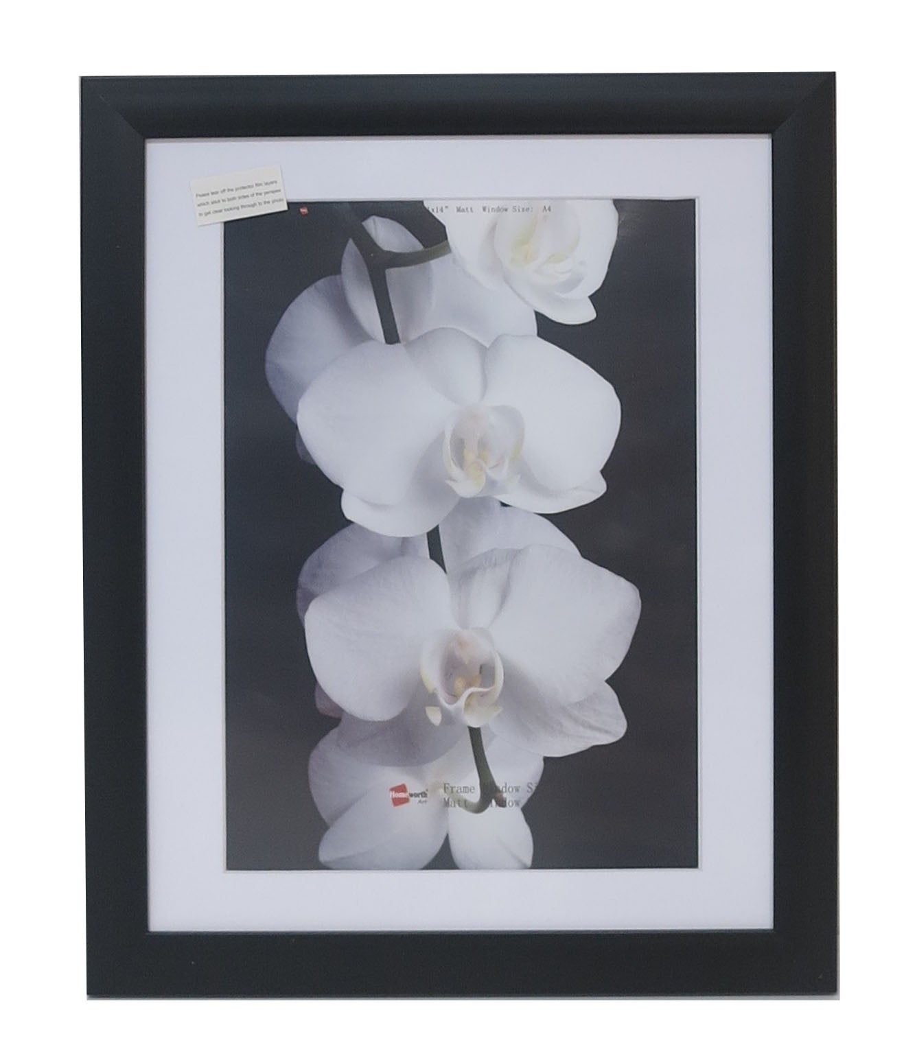 Homeworth Photo Frames (without Mat Border), White / Black / Timber - Babyworth