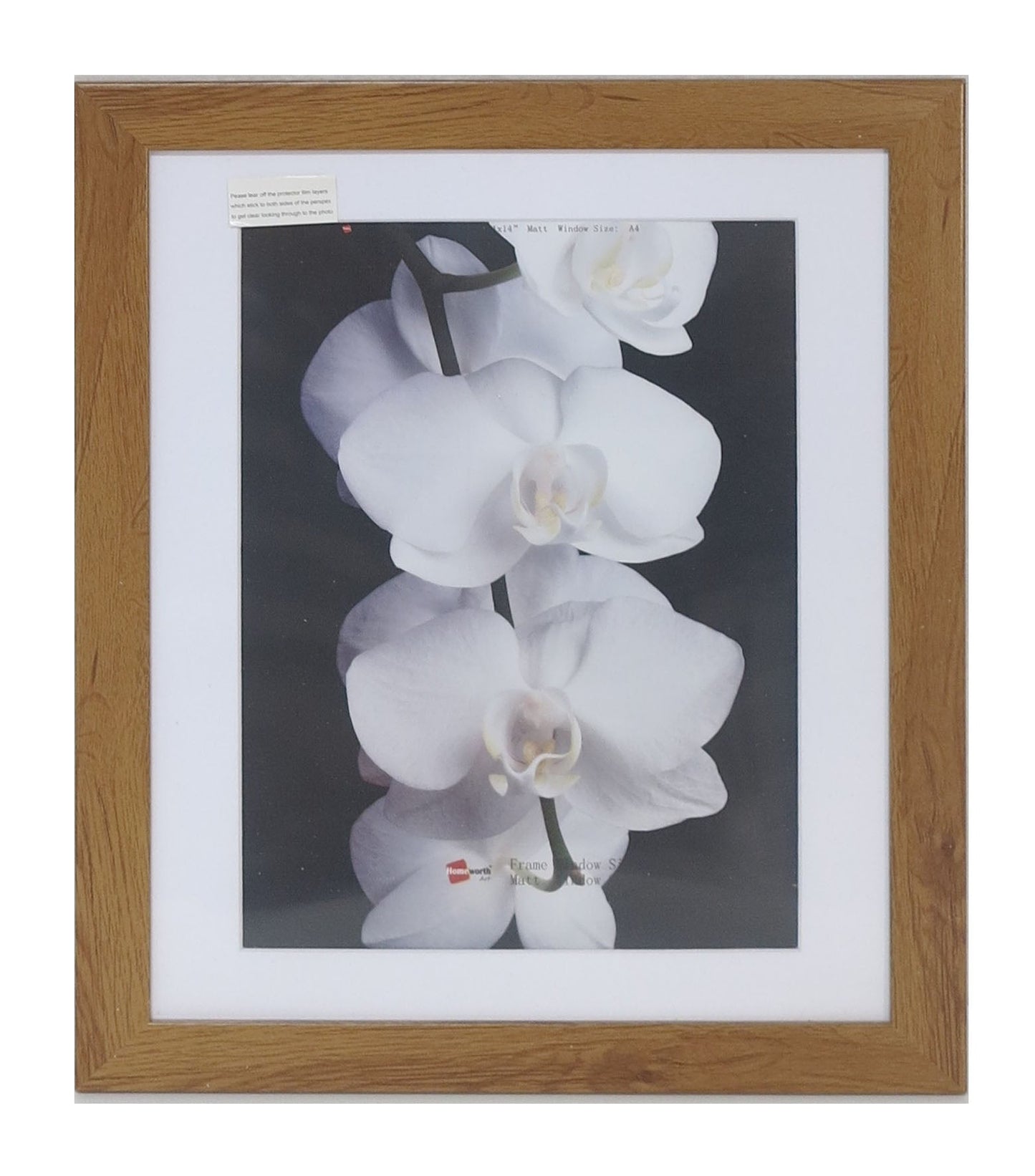 Homeworth Photo Frames (without Mat Border), White / Black / Timber - Babyworth