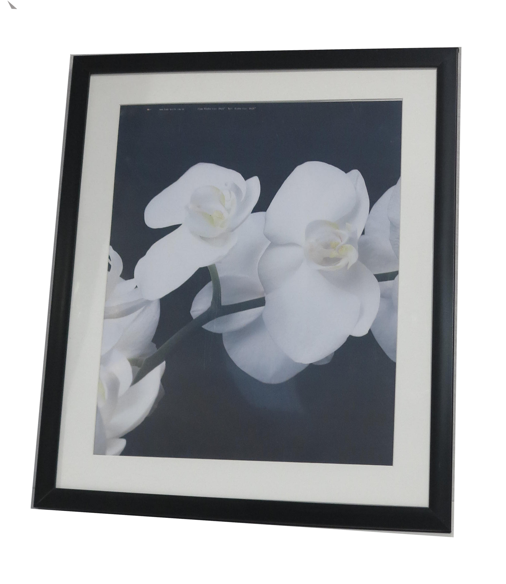 Homeworth   Photo Frames Certificate Frames Black Color - Babyworth