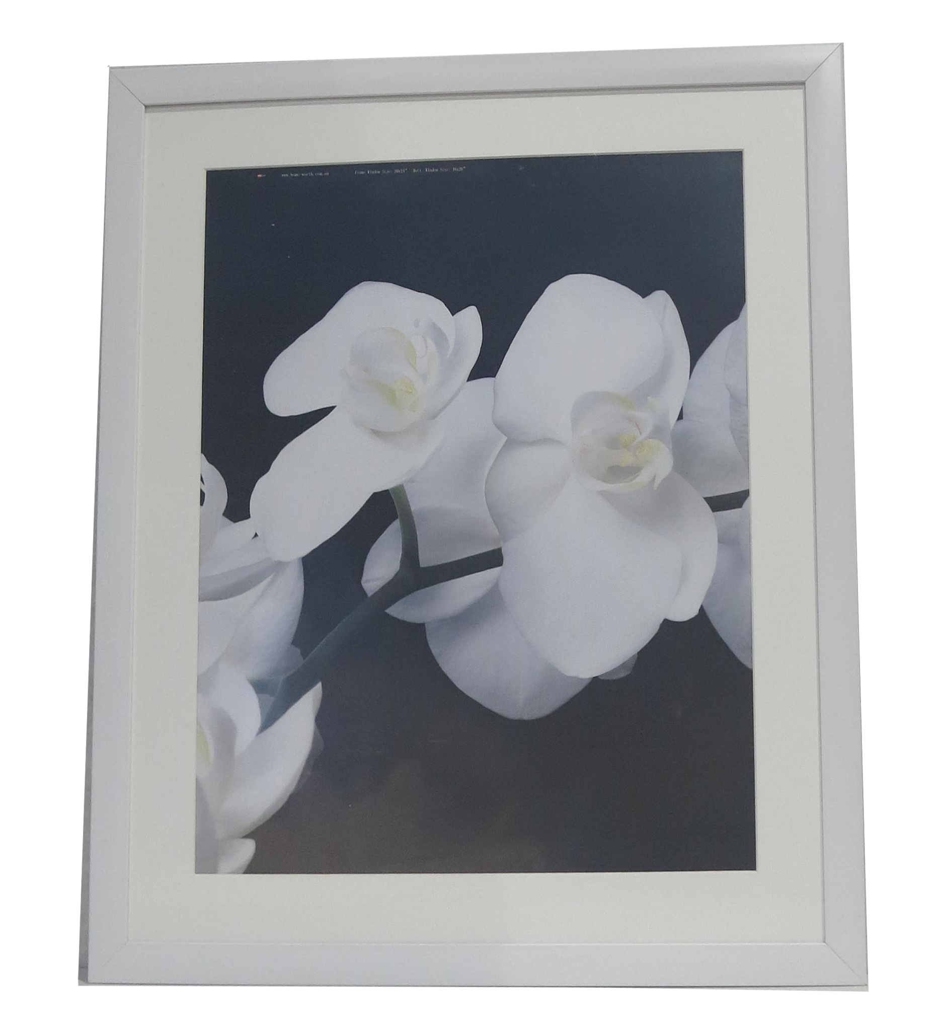 Homeworth   Photo Frames Certificate Frames A4 A3 A2 4X6 5X7 8X10 11X14 12X16 16X20 20X24 White Color - Babyworth