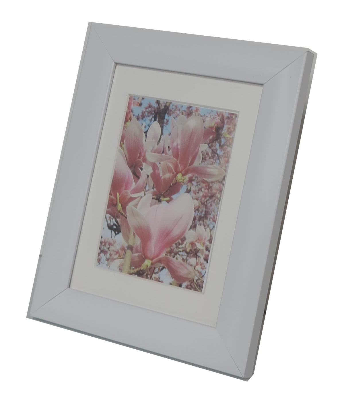 Homeworth Photo Frames (without Mat Border), White / Black / Timber - Babyworth