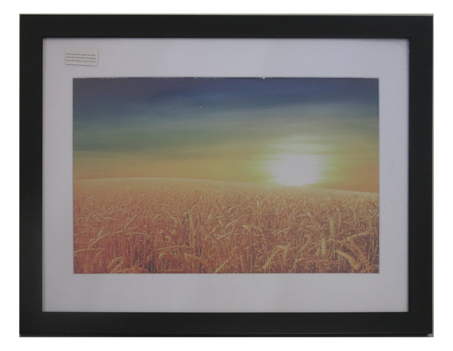 Homeworth Photo Frames - Certificate Series without Mat Border - White, Black or Timber - A4 A3 A2 4X6 5X7 8X10 11X14 12X16 16X20 20X24 24X36 - Babyworth