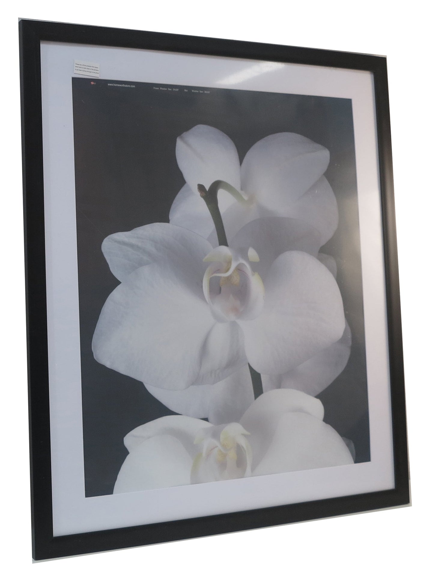 Custom Picture Frames - Babyworth