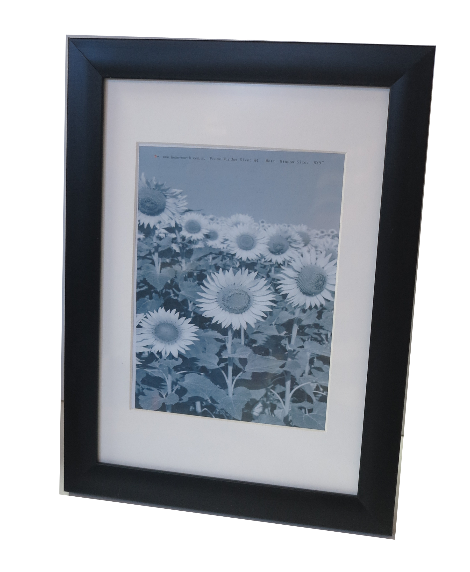 Homeworth Photo Frames (without Mat Border), White / Black / Timber - Babyworth