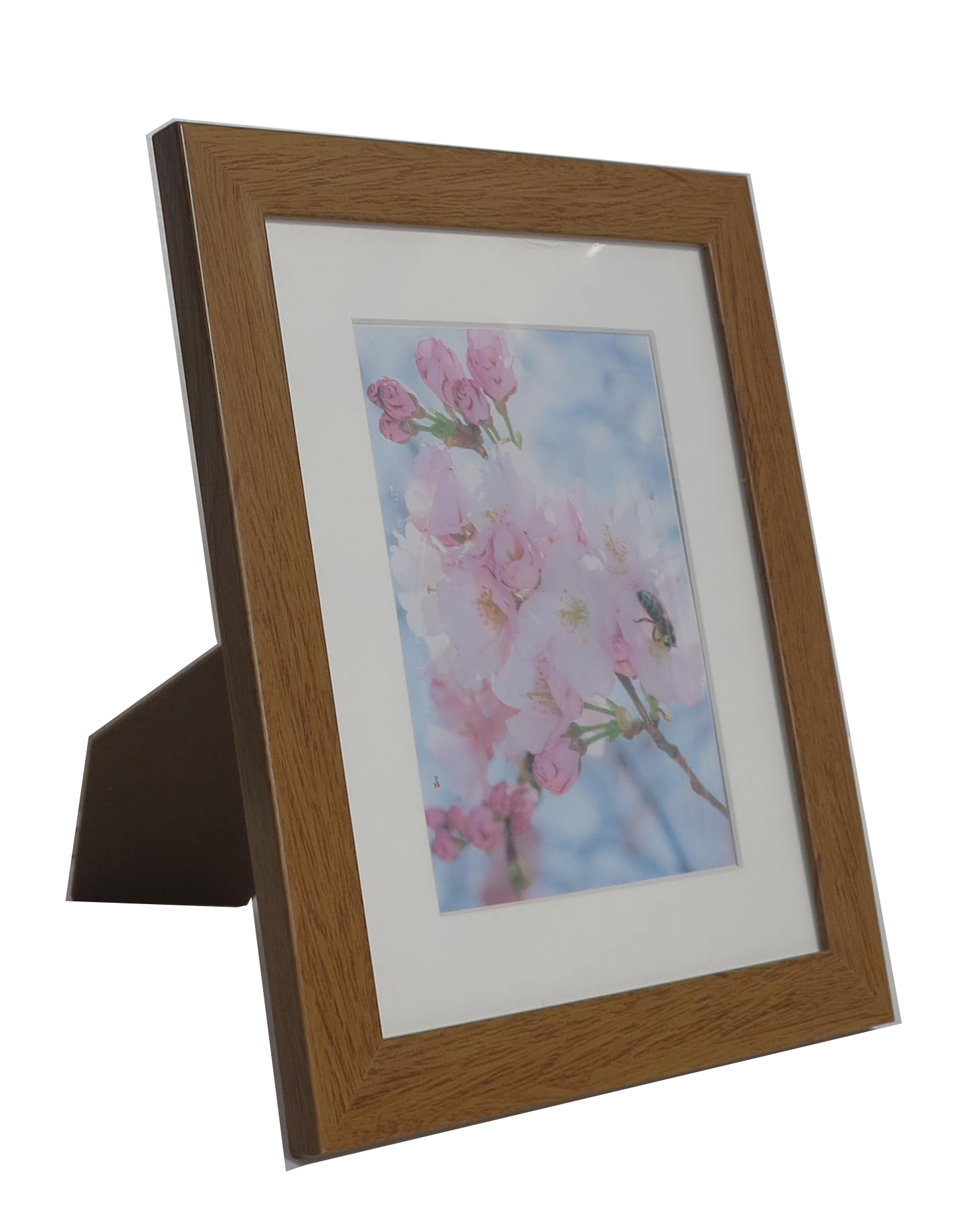Homeworth Photo Frames (without Mat Border), White / Black / Timber - Babyworth